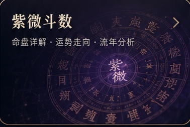 紫微斗数